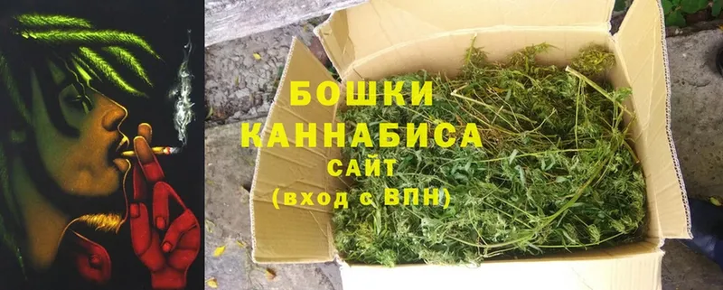 Канабис SATIVA & INDICA  Тверь 